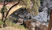 Tocht Stappen Les Arcs-sur-Argens - sommet des Terriers, les Arcs sur Argens, 15-11-23 - Photo 1