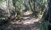 Trail Walking Buoux - Buoux /Saignon - Photo 9