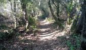 Excursión Senderismo Buoux - Buoux /Saignon - Photo 9