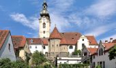 Tour Zu Fuß Sankt Johann in der Haide - Hartberg Altenberg Lorettokapelle - Photo 5