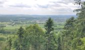 Excursión Senderismo Ernolsheim-lès-Saverne - 2019-05-30 Marche Mt St Michel Ernolsheim les Saverne Reel - Photo 14