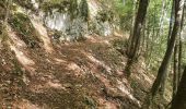 Trail Walking Cusy - 13-09-2022 La Grand-Raie au Col de la Cochette - Photo 1