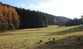 Tour Wandern Vielsalm - SityTrail - Sprimont_Fraiture - Photo 6