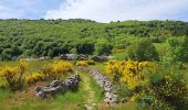 Randonnée Marche Rosis - Circuit du Vialais - Photo 6