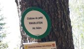 Tour Wandern Oberhaslach - Oberhaslach - Photo 10
