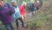 Trail Walking Fontainebleau - carrefour de l'epine 6 octobre 2023  - Photo 5