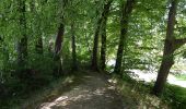 Trail On foot Asbach - [A3] Kirchspielweg - Photo 2