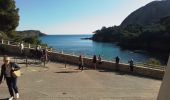 Tocht Stappen La Ciotat - la Ciotat parc Mugel - Photo 9