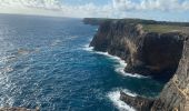 Tocht Trail Anse-Bertrand - Porte d’enfer le littoral  - Photo 6