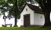 Excursión A pie Guttenberg - Drei-Brücken-Weg KU 23 - Photo 2