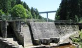 Tocht Te voet Freyung - Rundwanderweg Nr. 1 Saußbach - Ahornöd - Photo 4