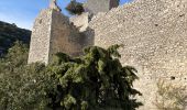 Percorso Marcia Oppède - PF-Oppède-le-Vieux - Sentier vigneron - Forteresse et Collégiale - Photo 11