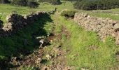 Tour Wandern Frontera - Sabinosa - El Sabinar - Ermita Virgen de Los Reyes (El Hierro) - Photo 15