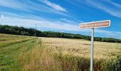 Randonnée Marche Naveil - Circuit au lieu-dit Bordebeure Marcilly-en-Beauce - Photo 1