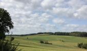 Excursión Senderismo Burg-Reuland - Lascheid Stoubach - Photo 6