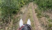 Trail Horseback riding Bastogne - Livarchamps 24/09 - Photo 1