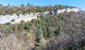 Tour Wandern Flassan - Le trèfle des Grangeons - Photo 12