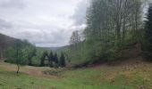 Tocht Stappen Bouillon - rando rochehaut 11 /05/2021 - Photo 14