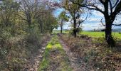 Trail Walking Vireux-Molhain - Vireux Molin 10 km - Photo 9