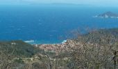 Tour Wandern Marciana Marina - marciana  - Photo 2