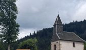 Randonnée Marche Xonrupt-Longemer - Tour des lacs de Longemer et Retournemer et cascades - Photo 11