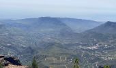 Trail Walking Tejeda - Pico de las Nieves (Gran Canaria) - Photo 17