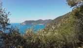 Percorso Marcia Vernazza - Corniglia gare Veratta - Photo 15