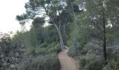 Tour Wandern Aix-en-Provence - Randonnée des barrages Zola et Bimont - Photo 1
