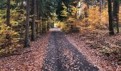 Tour Zu Fuß Gablonz an der Neiße - Stopy 2. Světové války - Photo 4