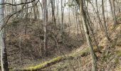 Tour Wandern Champdieu - Randonnée sur les hauteurs de Champdieu  - Photo 18