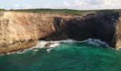 Excursión Senderismo Anse-Bertrand - Trou du Souffleur - Trou de Madame Coco - Photo 4