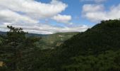 Tour Wandern Soubès - Soubes - Photo 2