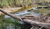 Tour Wandern Tourves - Chapelle Saint Probace-Caramy - Photo 2