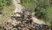 Tocht Stappen Gordes - village bories towards hotel bories - Photo 2