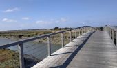 Trail Road bike Saint-Clément-des-Baleines - 2024-09-17 (île de ré) saint Clément des baleines - les portes en ré. - Photo 2