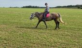 Randonnée Randonnée équestre Domèvre-sur-Vezouze - Equiplaine 22 septembre 24 - Photo 3