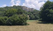 Tocht Stappen Saint-Genix-les-Villages - 73_gresin_montTournier_18km_630 - Photo 9