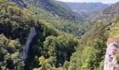 Excursión Senderismo Villard-Saint-Sauveur - cascade de flumen - saut du chien - retour en partie par la route  - Photo 16