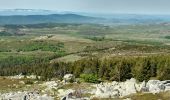 Tour Wandern Vialas - Le Mas de la barque  - Photo 4