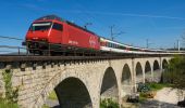 Excursión A pie Eglisau - Eglisau Bahnhof - Kaiserstuhl Bahnhof - Photo 5