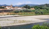 Tocht Stappen Camaiore - CR_Francigena_CK_34_Camaiore_Lucques_20220618 - Photo 14