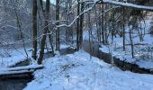 Tocht Stappen Jalhay - Jalhay Fagnes 23,8 km - Photo 15