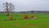 Trail Walking Ham-sur-Heure-Nalinnes - Balade à Cours-sur-Heure - Photo 10