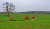 Tocht Stappen Ham-sur-Heure-Nalinnes - Balade à Cours-sur-Heure - Photo 10