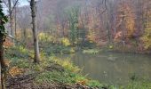 Trail Walking Namur - Wepion 211123 - Photo 18