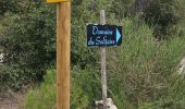 Trail Walking Signes - Plateau d'Agnis en partant de La Marseillaise - Photo 18