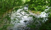 Trail On foot Siegsdorf - SalzAlpenWeg - Traunstein - Zwing - Photo 1