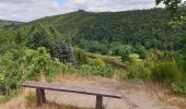 Tour Wandern Vresse-sur-Semois - Balade à Chairière - Vresse sur Semois - Photo 5