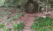 Excursión Senderismo La Broque - château de Salm, Chatte pendue - Photo 4