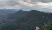 Tocht Stappen Bagnols-en-Forêt - Gorges du Blavet au col de la pierre du coucou - Photo 17